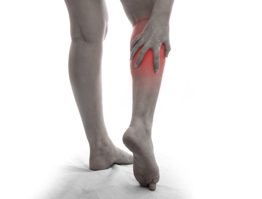 Трихинеллез: новая информация для специалистов